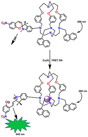 Cryptand based molecular photonic device