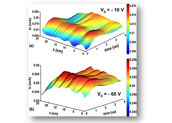 Image of waves excited in a plasma due to launching of pulsed modulated electromagnetic waves