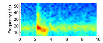 The spectrogram indicates the presence of 15-20 Hz oscillations in neural activity during odor sensing