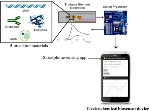 Development of Electrochemical Biosensors for Detection of Emerging Pollutants in Water